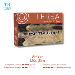 Thuốc Terea Kazakhstan Amber vị mộc đậm