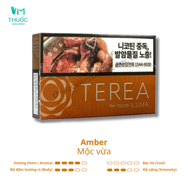 thuoc terea han amber moc vua