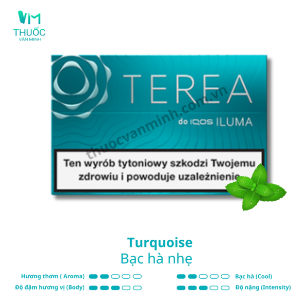 terea balan turquoise