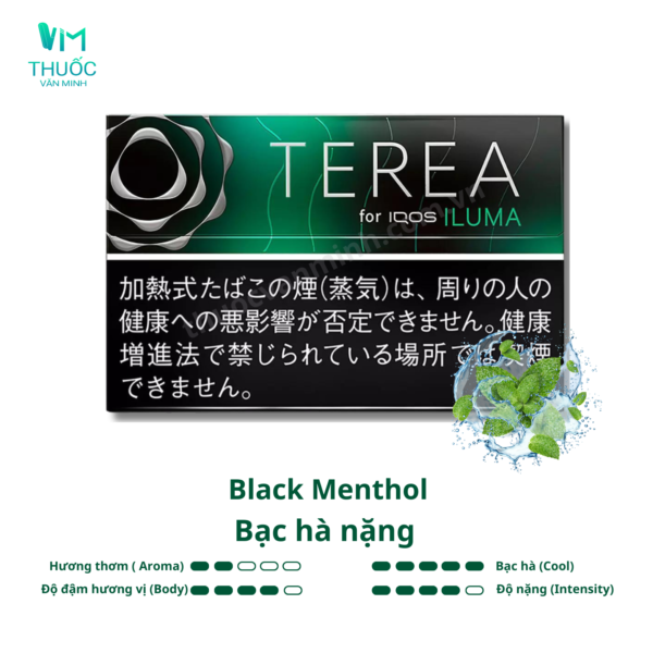 thuoc terea nhat black menthol vi bac ha nang 1